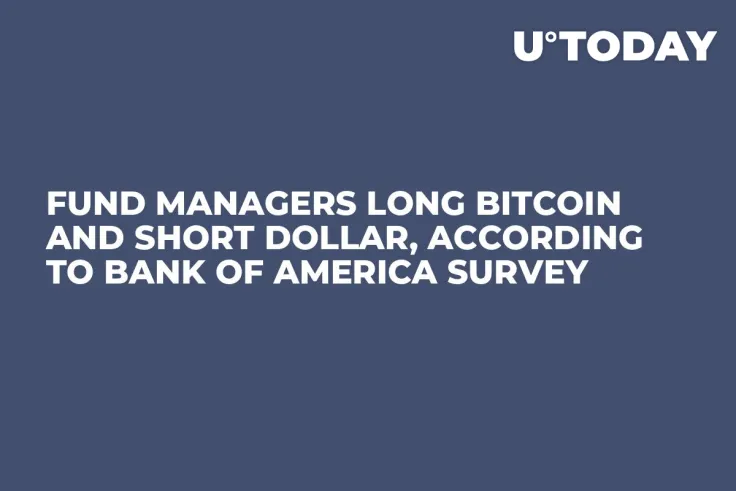 Fund Managers Long Bitcoin and Short Dollar, According to Bank of America Survey