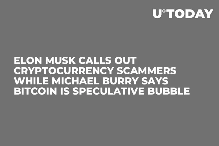 Elon Musk Calls Out Cryptocurrency Scammers While Michael Burry Says Bitcoin Is Speculative Bubble