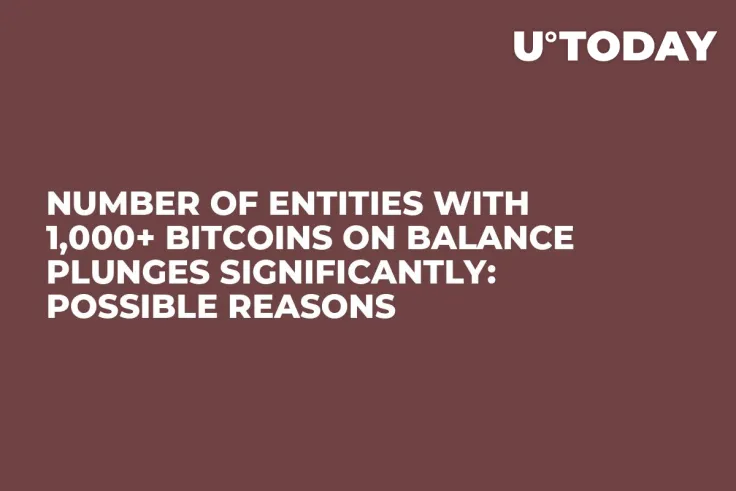 Number of Entities with 1,000+ Bitcoins on Balance Plunges Significantly: Possible Reasons