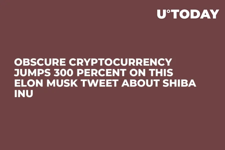 Obscure Cryptocurrency Jumps 300 Percent on This Elon Musk Tweet About Shiba Inu