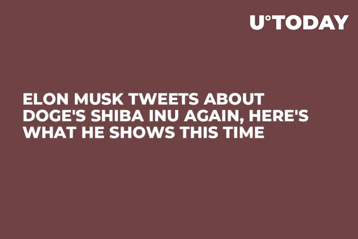 Elon Musk Tweets About DOGE's Shiba Inu Again, Here's What He Shows This Time