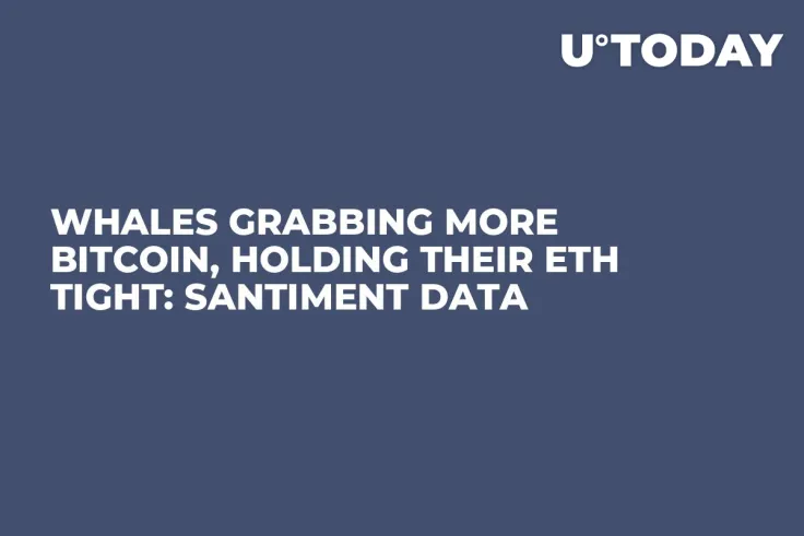 Whales Grabbing More Bitcoin, Holding Their ETH Tight: Santiment Data