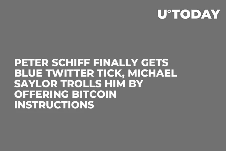 Peter Schiff Finally Gets Blue Twitter Tick, Michael Saylor Trolls Him by Offering Bitcoin Instructions