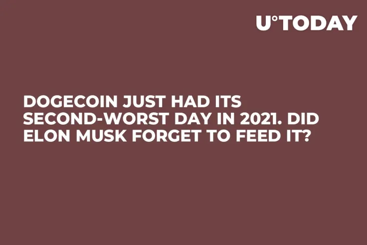 Dogecoin Just Had Its Second-Worst Day in 2021. Did Elon Musk Forget to Feed It?