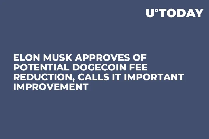 Elon Musk Approves of Potential Dogecoin Fee Reduction, Calls It Important Improvement