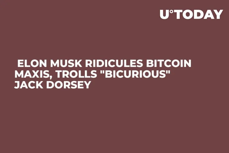  Elon Musk Ridicules Bitcoin Maxis, Trolls "Bicurious" Jack Dorsey