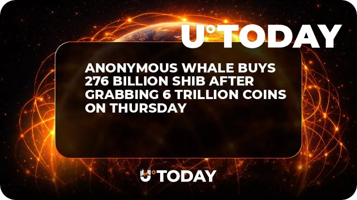Anonymous Whale Buys 276 Billion SHIB After Grabbing 6 Trillion Coins on Thursday