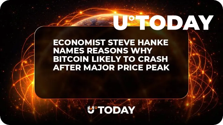 Economist Steve Hanke Names Reasons Why Bitcoin Likely to Crash After Major Price Peak