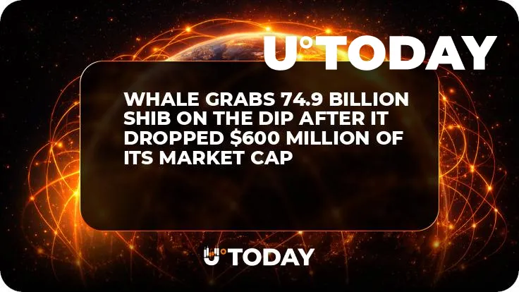 Whale Grabs 74.9 Billion SHIB On the Dip After It Dropped $600 Million of Its Market Cap