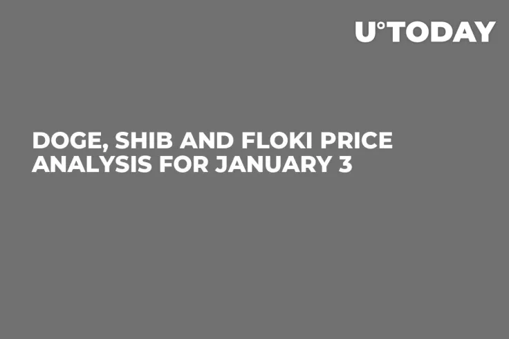 DOGE, SHIB and FLOKI Price Analysis for January 3