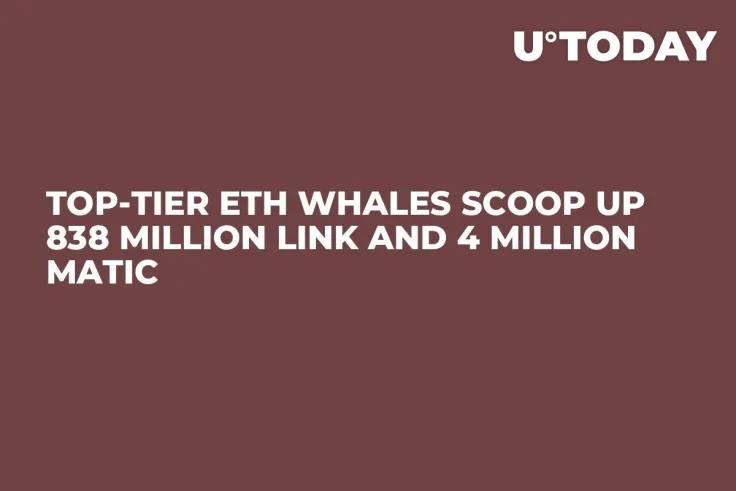 Top-Tier ETH Whales Scoop Up 838 Million LINK and 4 Million MATIC