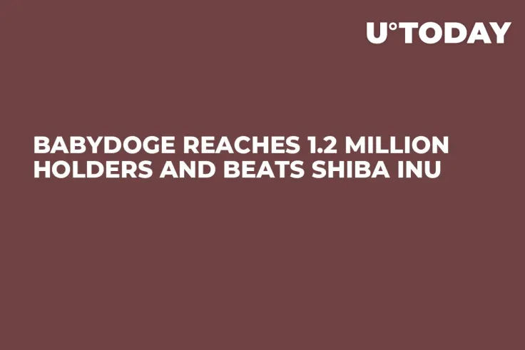 BabyDoge Reaches 1.2 Million Holders and Beats Shiba Inu