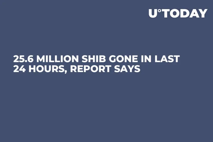 25.6 Million SHIB Gone in Last 24 Hours, Report Says