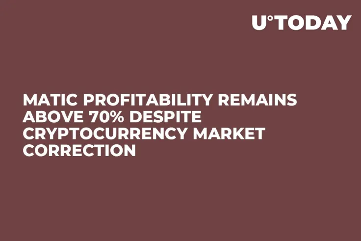 Matic Profitability Remains Above 70% Despite Cryptocurrency Market Correction