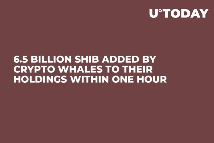6.5 Billion SHIB Added by Crypto Whales to Their Holdings Within One Hour