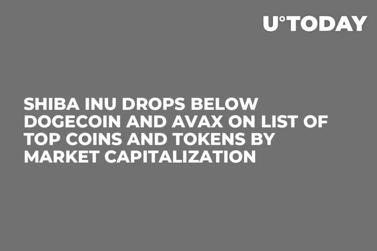 Shiba Inu Drops Below Dogecoin and AVAX on List of Top Coins and Tokens by Market Capitalization