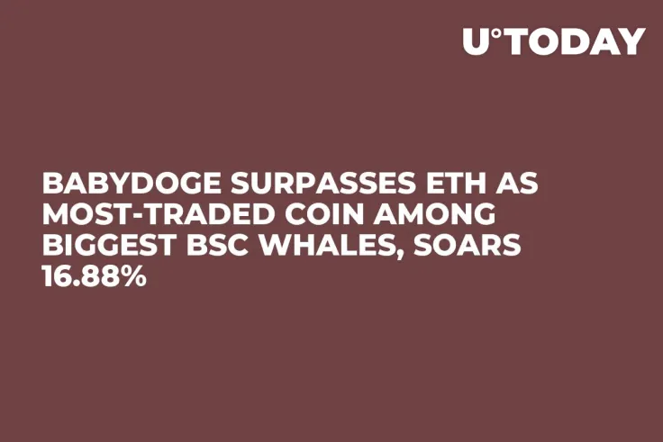 BabyDoge Surpasses ETH as Most-Traded Coin Among Biggest BSC Whales, Soars 16.88%