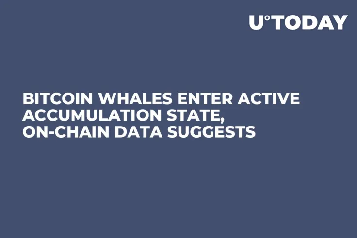 Bitcoin Whales Enter Active Accumulation State, On-Chain Data Suggests