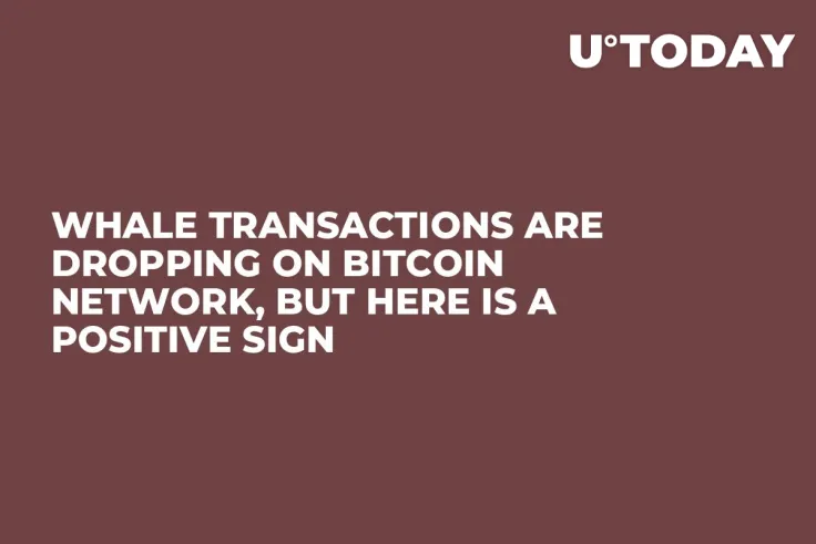 Whale Transactions Are Dropping on Bitcoin Network, But Here Is a Positive Sign