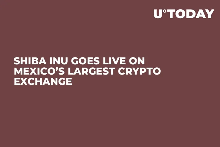 Shiba Inu Goes Live on Mexico’s Largest Crypto Exchange