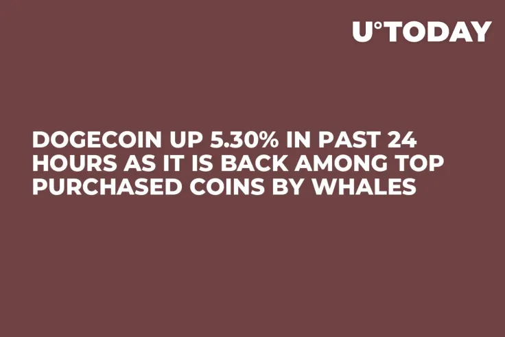Dogecoin Up 5.30% in Past 24 Hours as It Is Back Among Top Purchased Coins by Whales