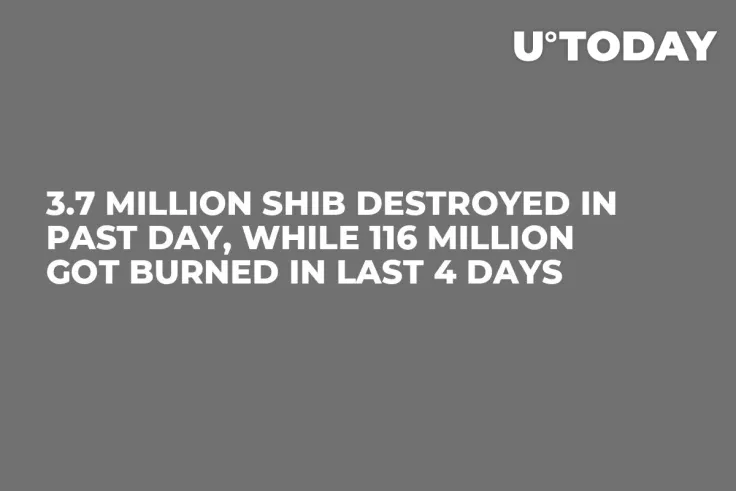 3.7 Million SHIB Destroyed in Past Day, While 116 Million Got Burned in Last 4 Days