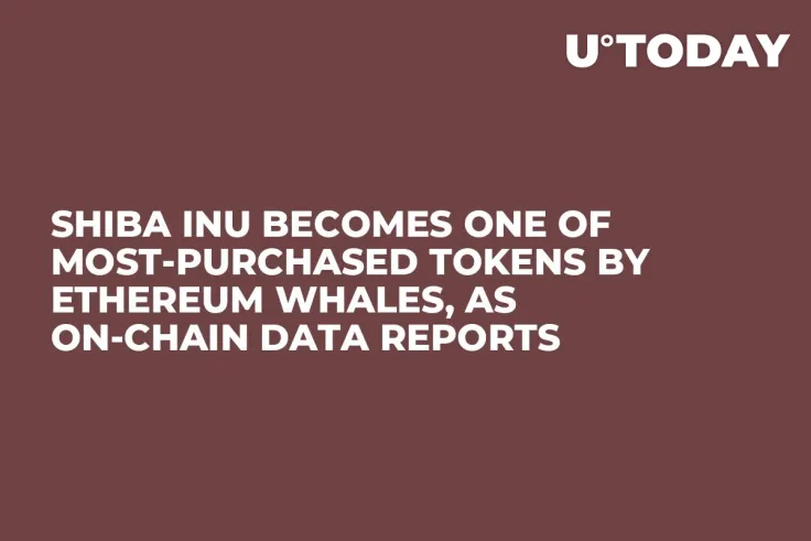 Shiba Inu Becomes One of Most-Purchased Tokens by Ethereum Whales, as On-Chain Data Reports
