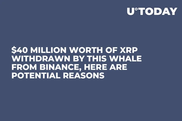 $40 Million Worth of XRP Withdrawn by This Whale from Binance, Here Are Potential Reasons
