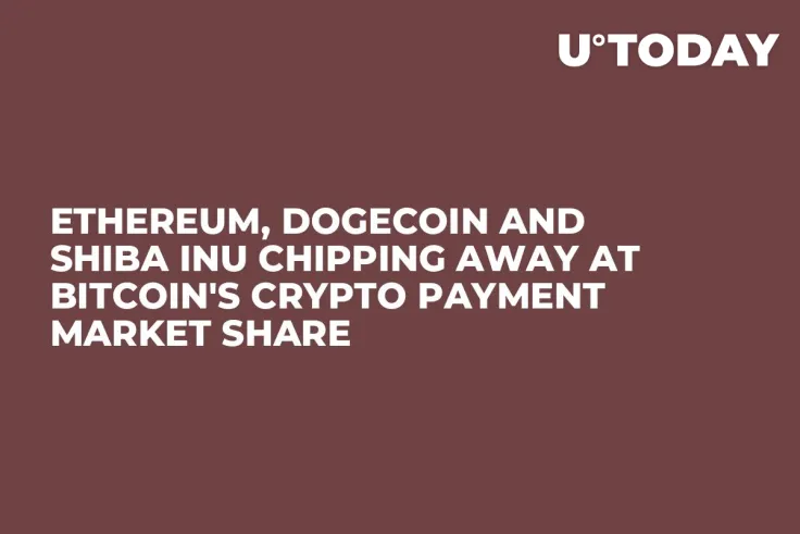 Ethereum, Dogecoin and Shiba Inu Chipping Away at Bitcoin's Crypto Payment Market Share