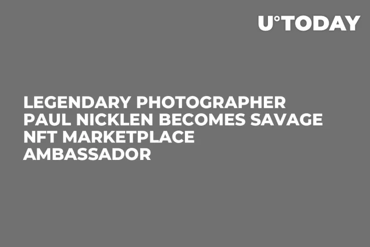 Legendary Photographer Paul Nicklen Becomes Savage NFT Marketplace Ambassador