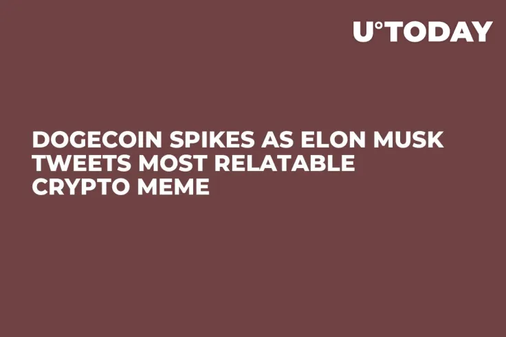 Dogecoin Spikes as Elon Musk Tweets Most Relatable Crypto Meme