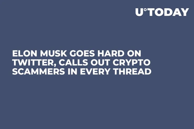 Elon Musk Goes Hard on Twitter, Calls Out Crypto Scammers in Every Thread
