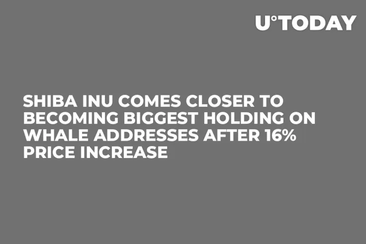 Shiba Inu Comes Closer to Becoming Biggest Holding on Whale Addresses After 16% Price Increase