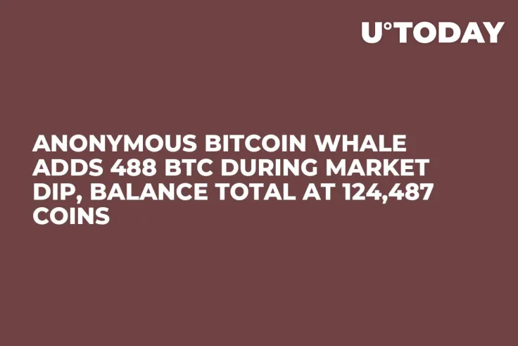 Anonymous Bitcoin Whale Adds 488 BTC During Market Dip, Balance Total at 124,487 Coins