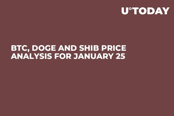 BTC, DOGE and SHIB Price Analysis for January 25