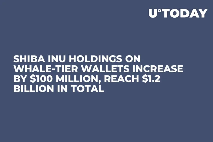 Shiba Inu Holdings on Whale-Tier Wallets Increase by $100 Million, Reach $1.2 Billion in Total