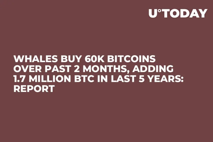 Whales Buy 60K Bitcoins Over Past 2 Months, Adding 1.7 Million BTC in Last 5 Years: Report