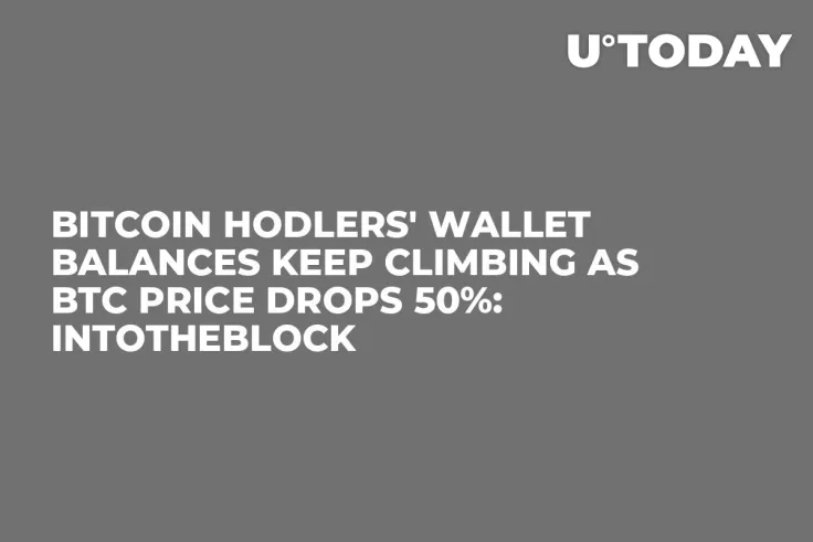 Bitcoin Hodlers' Wallet Balances Keep Climbing as BTC Price Drops 50%: IntoTheBlock