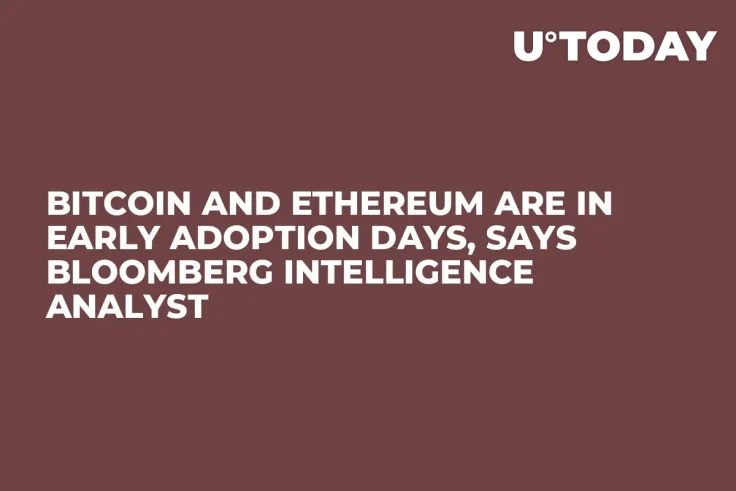 Bitcoin and Ethereum Are in Early Adoption Days, Says Bloomberg Intelligence Analyst