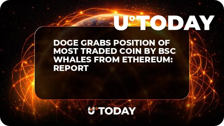 DOGE Grabs Position of Most Traded Coin by BSC Whales from Ethereum: Report