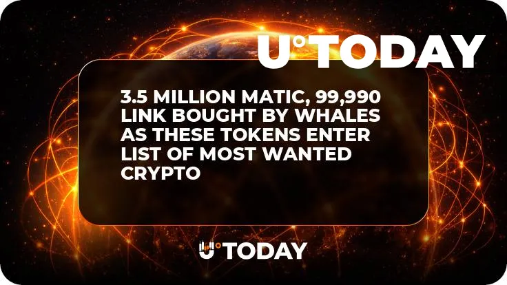 3.5 Million MATIC, 99,990 LINK Bought by Whales as These Tokens Enter List of Most Wanted Crypto
