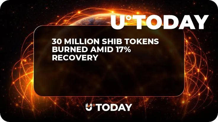 30 Million SHIB Tokens Burned Amid 17% Recovery