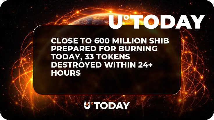 Close to 600 Million SHIB Prepared for Burning Today, 33 Tokens Destroyed Within 24+ Hours