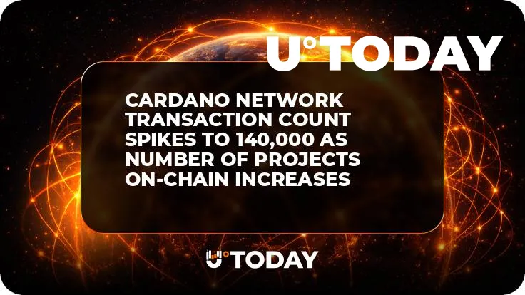 Cardano Network Transaction Count Spikes to 140,000 as Number of Projects On-chain Increases