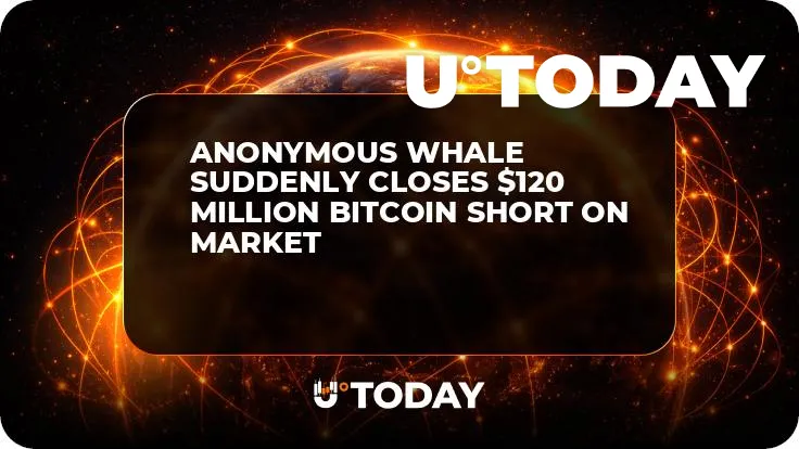 Anonymous Whale Suddenly Closes $120 Million Bitcoin Short on Market