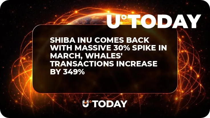 Shiba Inu Comes Back with Massive 30% Spike in March, Whales' Transactions Increase by 349%