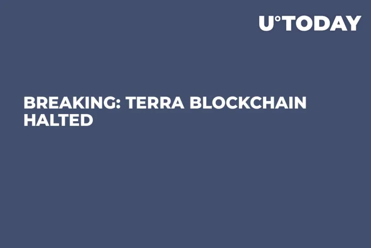 BREAKING: Terra Blockchain Halted