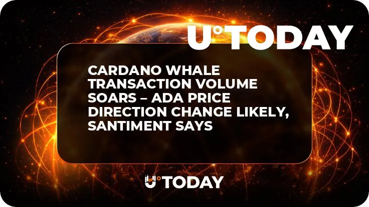 Cardano Whale Transaction Volume Soars – ADA Price Direction Change Likely, Santiment Says