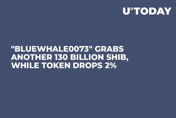 "BlueWhale0073" Grabs Another 130 Billion SHIB, While Token Drops 2%