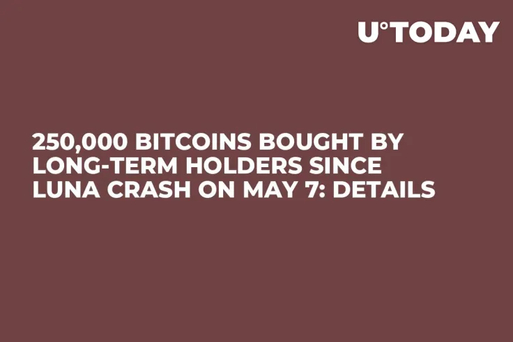 250,000 Bitcoins Bought by Long-Term Holders Since LUNA Crash on May 7: Details